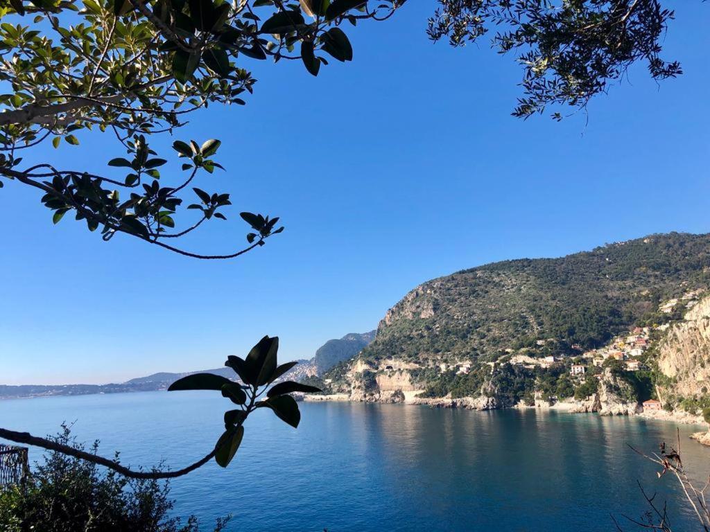 Une Terrasse Sur Monaco Logement 2 Chambre Beausoleil Bagian luar foto